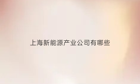 上海新能源产业公司有哪些