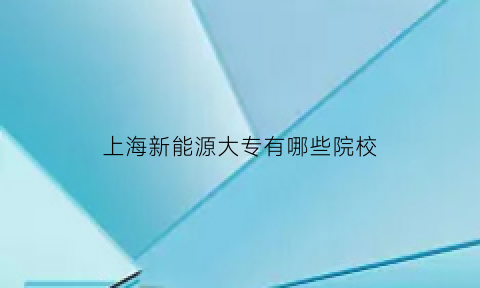 上海新能源大专有哪些院校(上海新能源汽车职业学院)