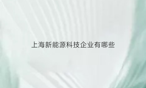 上海新能源科技企业有哪些(上海知名新能源企业)