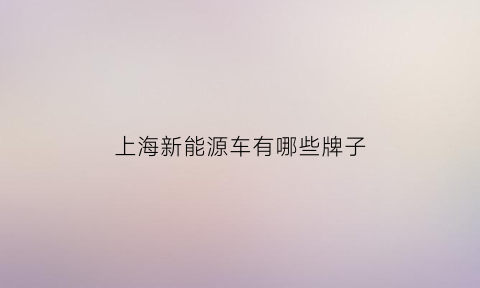 上海新能源车有哪些牌子