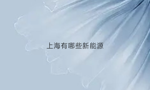 上海有哪些新能源