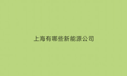 上海有哪些新能源公司