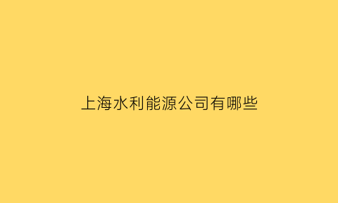 上海水利能源公司有哪些