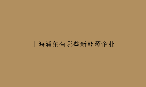 上海浦东有哪些新能源企业