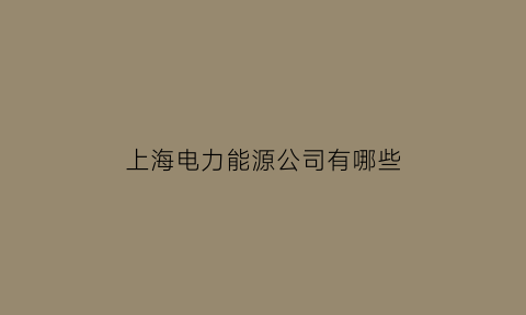 上海电力能源公司有哪些