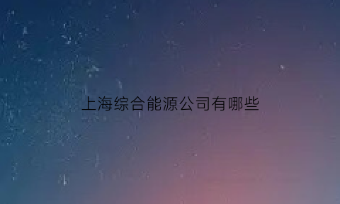 上海综合能源公司有哪些