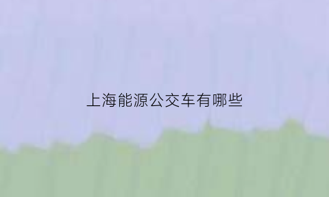 上海能源公交车有哪些