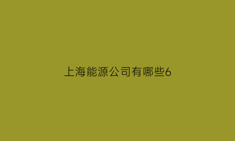 上海能源公司有哪些6