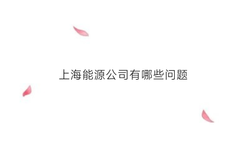 上海能源公司有哪些问题