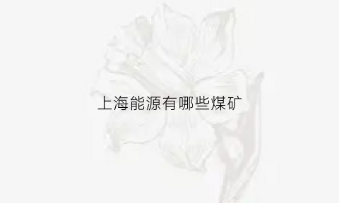 上海能源有哪些煤矿