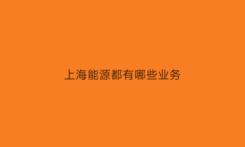 上海能源都有哪些业务