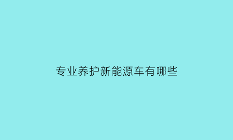 专业养护新能源车有哪些(新能源电池养护)