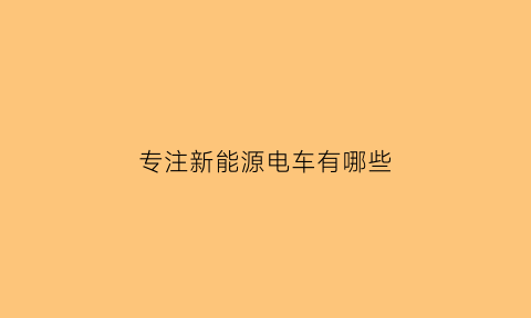 专注新能源电车有哪些