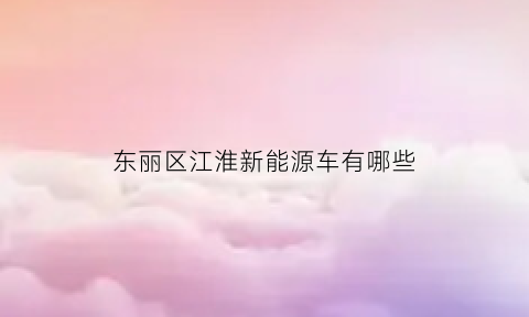 东丽区江淮新能源车有哪些