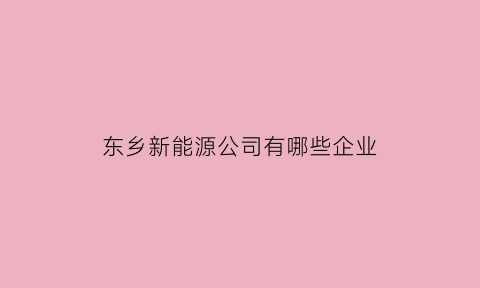 东乡新能源公司有哪些企业(东乡新能源公司有哪些企业名称)