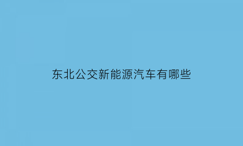 东北公交新能源汽车有哪些