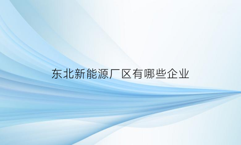 东北新能源厂区有哪些企业(东北新能源电池厂)