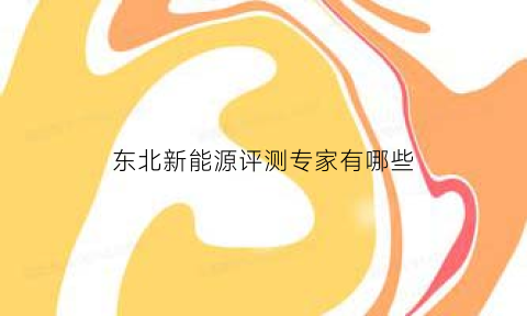 东北新能源评测专家有哪些(东北新能源发电)