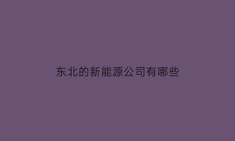 东北的新能源公司有哪些