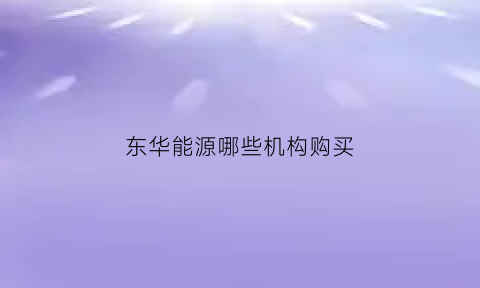 东华能源哪些机构购买