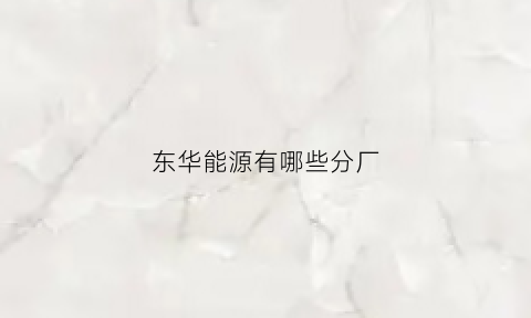 东华能源有哪些分厂