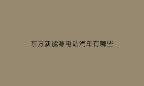 东方新能源电动汽车有哪些