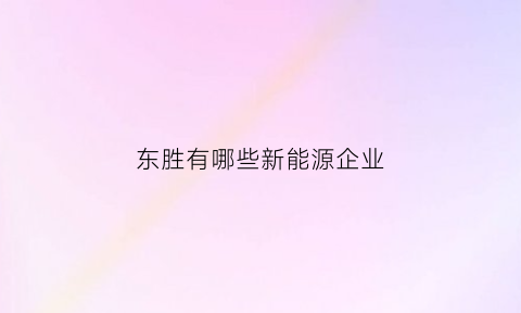 东胜有哪些新能源企业