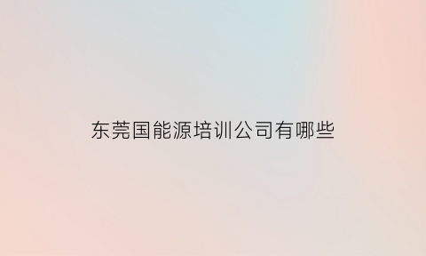 东莞国能源培训公司有哪些