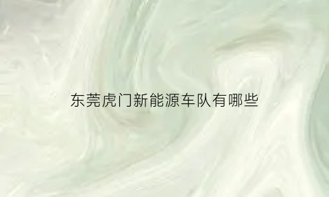 东莞虎门新能源车队有哪些