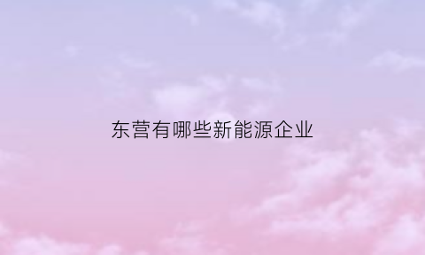 东营有哪些新能源企业