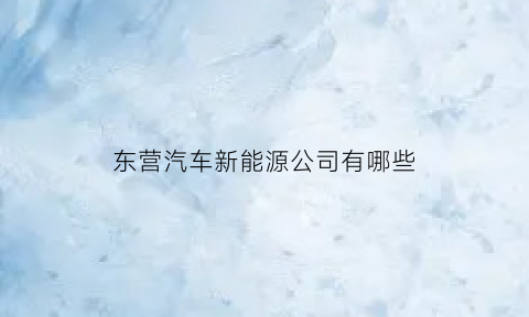 东营汽车新能源公司有哪些