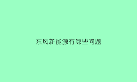 东风新能源有哪些问题