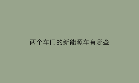 两个车门的新能源车有哪些