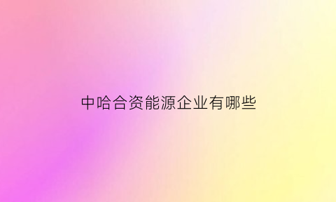 中哈合资能源企业有哪些