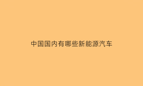 中国国内有哪些新能源汽车