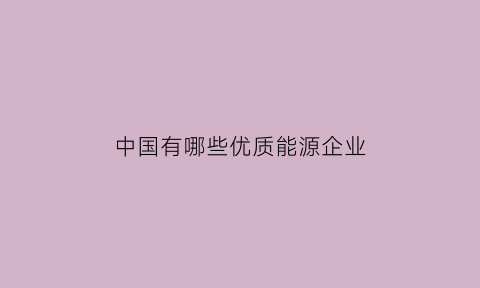 中国有哪些优质能源企业(中国能源企业100强)