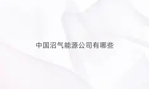 中国沼气能源公司有哪些