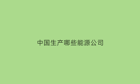 中国生产哪些能源公司(中国十大能源公司)