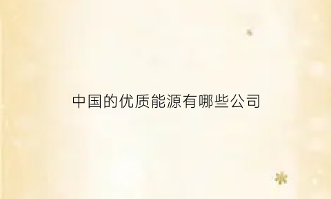 中国的优质能源有哪些公司