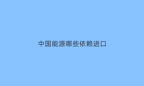 中国能源哪些依赖进口