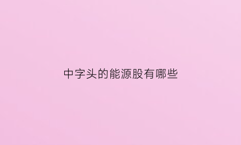 中字头的能源股有哪些