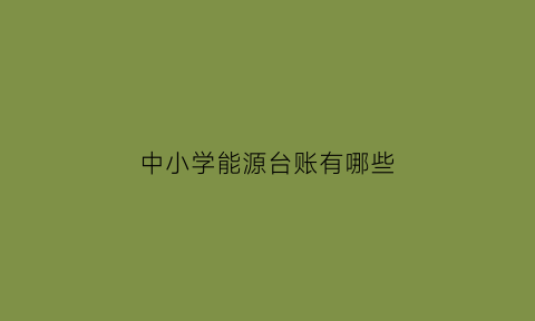 中小学能源台账有哪些(中小学能源台账有哪些类型)