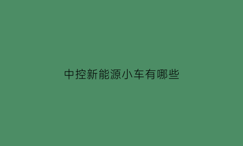 中控新能源小车有哪些