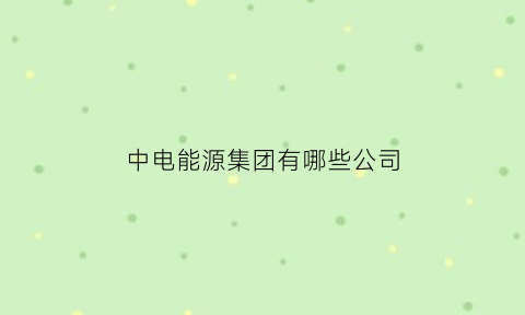 中电能源集团有哪些公司