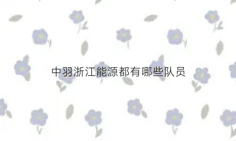 中羽浙江能源都有哪些队员(浙江中能有限公司)