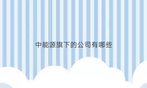 中能源旗下的公司有哪些(中能源是什么企业)