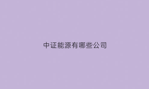 中证能源有哪些公司(中证能源是什么意思)