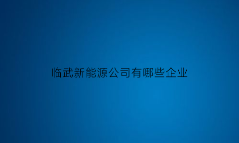 临武新能源公司有哪些企业(临武工业园有什么公司)