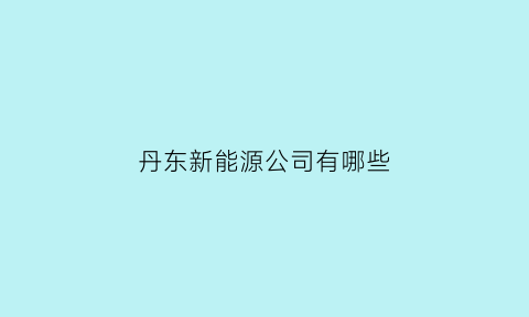 丹东新能源公司有哪些