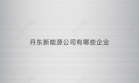 丹东新能源公司有哪些企业